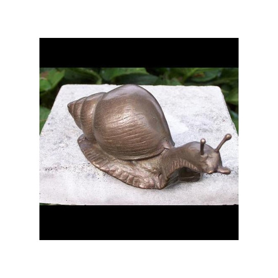 Escargot -AN1235BR-B