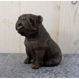 Bouledogue -AN1260BRW-B