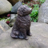 Labrador -AN1261BRW-B