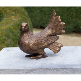 Pigeon -AN1329BRW-B