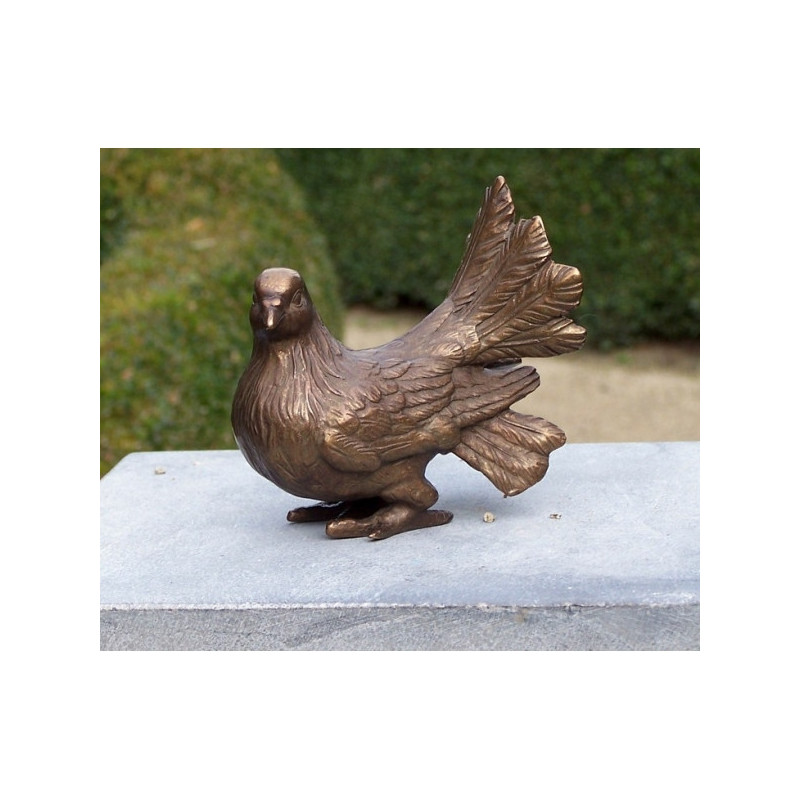 Pigeon -AN1329BRW-B