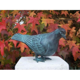 Pigeon -AN1610BR-V