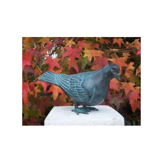 Pigeon -AN1610BR-V