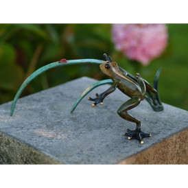Grenouille et coccinelle sur rameau -AN1736BRW-HP