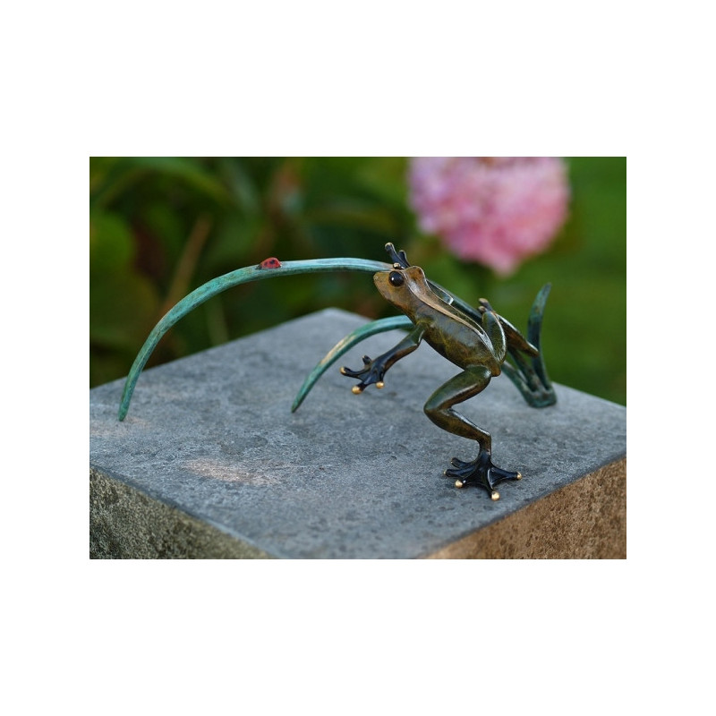 Grenouille et coccinelle sur rameau -AN1736BRW-HP