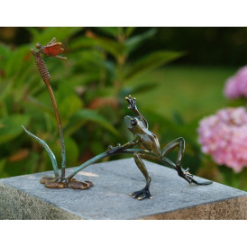 Grenouille et libellulle dans les roseaux -AN1737BRW-HP