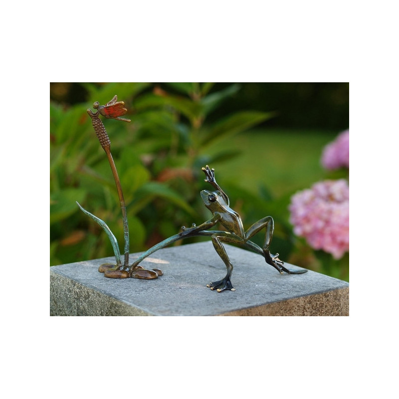 Grenouille et libellulle dans les roseaux -AN1737BRW-HP