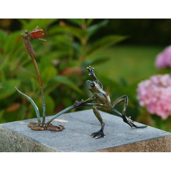 Grenouille et libellulle dans les roseaux -AN1737BRW-HP