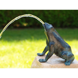 Grenouille/cracheur -AN5363BR-V-F