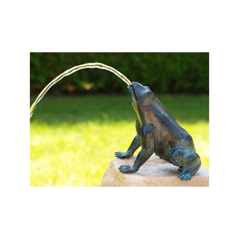 Grenouille/cracheur -AN5363BR-V-F