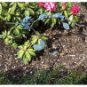 3 grenouilles sur branche -GA0319BR-V