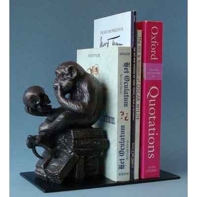 Affe mit schadel - the darwin monkey serre-livres rhe02 3dMouseion