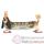 Figurine Basset Anniversaire -HB16902
