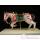 Figurine Samourai peinte Gilles Carda Cheval Arnache -59C