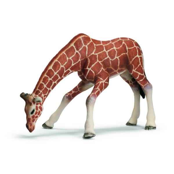 Figurine Girafe femelle buvant Schleich -14390