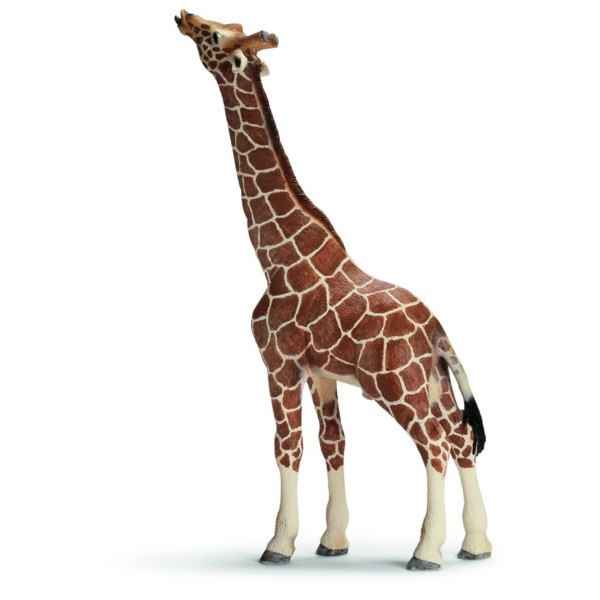Figurine Girafe male mangeant Schleich -14389