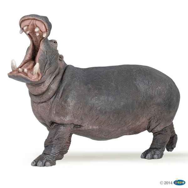 Figurine Hippopotame Papo -50051