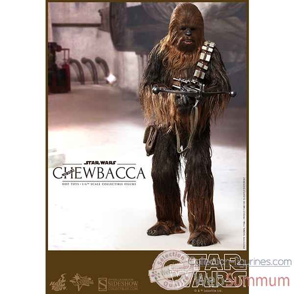 Star wars: figurine chewbacca echelle 1/6 -SSHOT902267