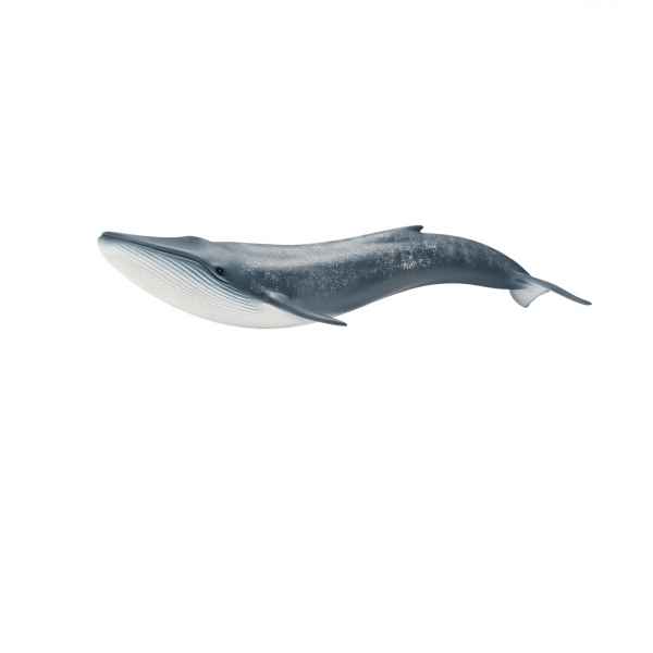 Baleine bleue schleich -14696