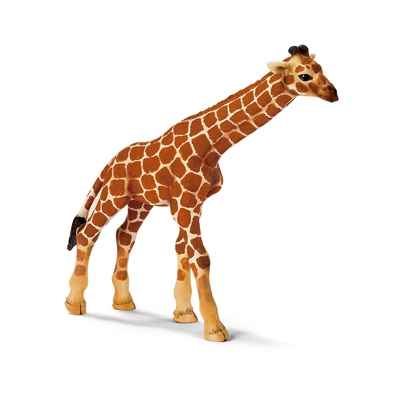 schleich-14321-Figurine bebe Girafe